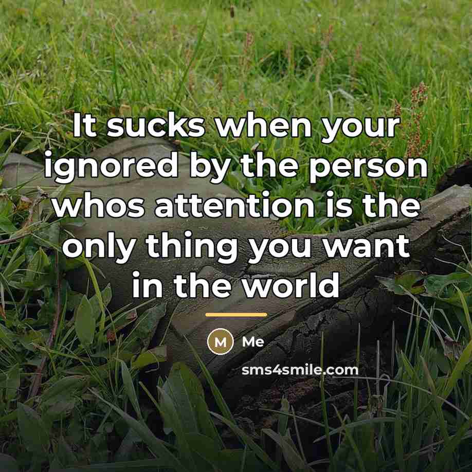 “It sucks when your ignored by the person whos attention…” quote by Me