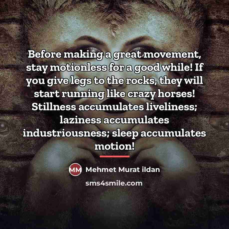 “Before making a great movement, stay motionless for a good…” quote by Mehmet Murat Ildan
