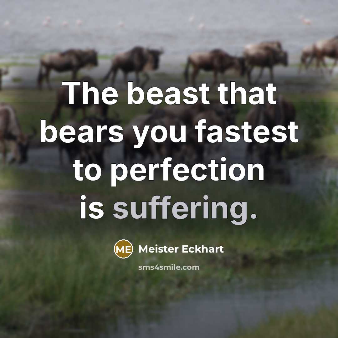 “The beast that bears you fastest to perfection is suffering.…” quote by Meister Eckhart
