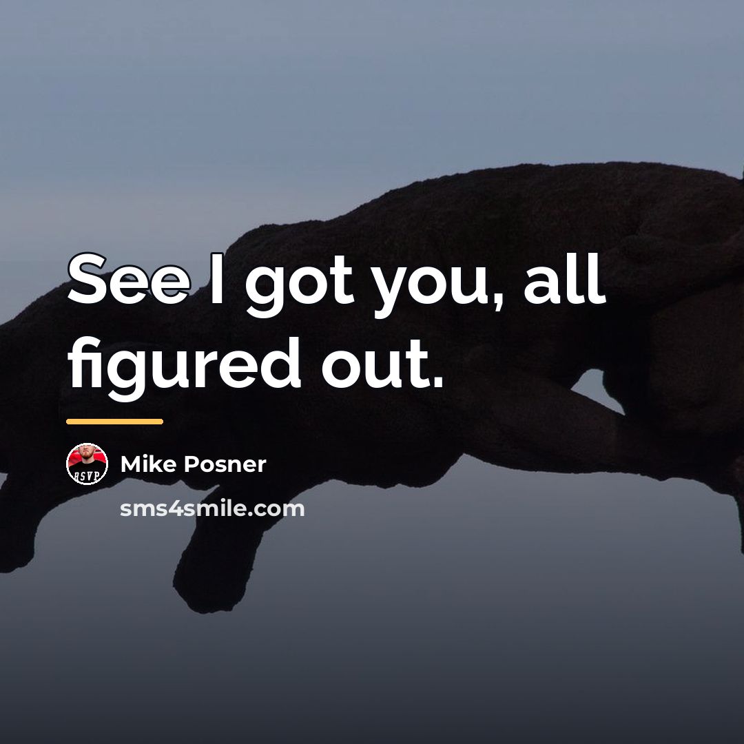 “See I got you, all figured out.…” quote by Mike Posner