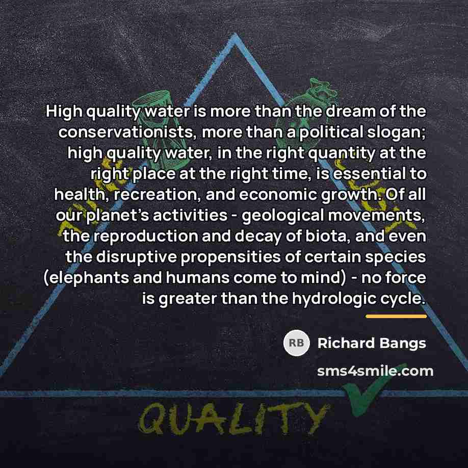 “High quality water is more than the dream of the…” quote by Richard Bangs