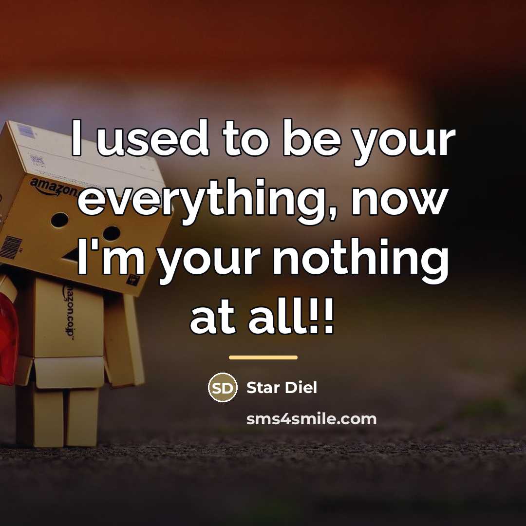 “I used to be your everything, now I'm your nothing…” quote by Star Diel