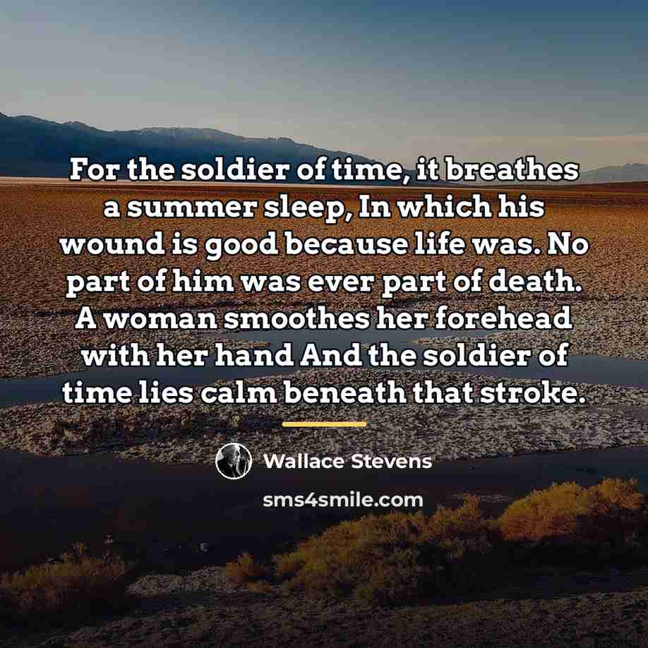 “For the soldier of time, it breathes a summer sleep,…” quote by Wallace Stevens