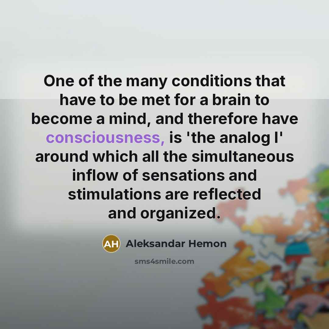 “One of the many conditions that have to be met…” quote by Aleksandar Hemon
