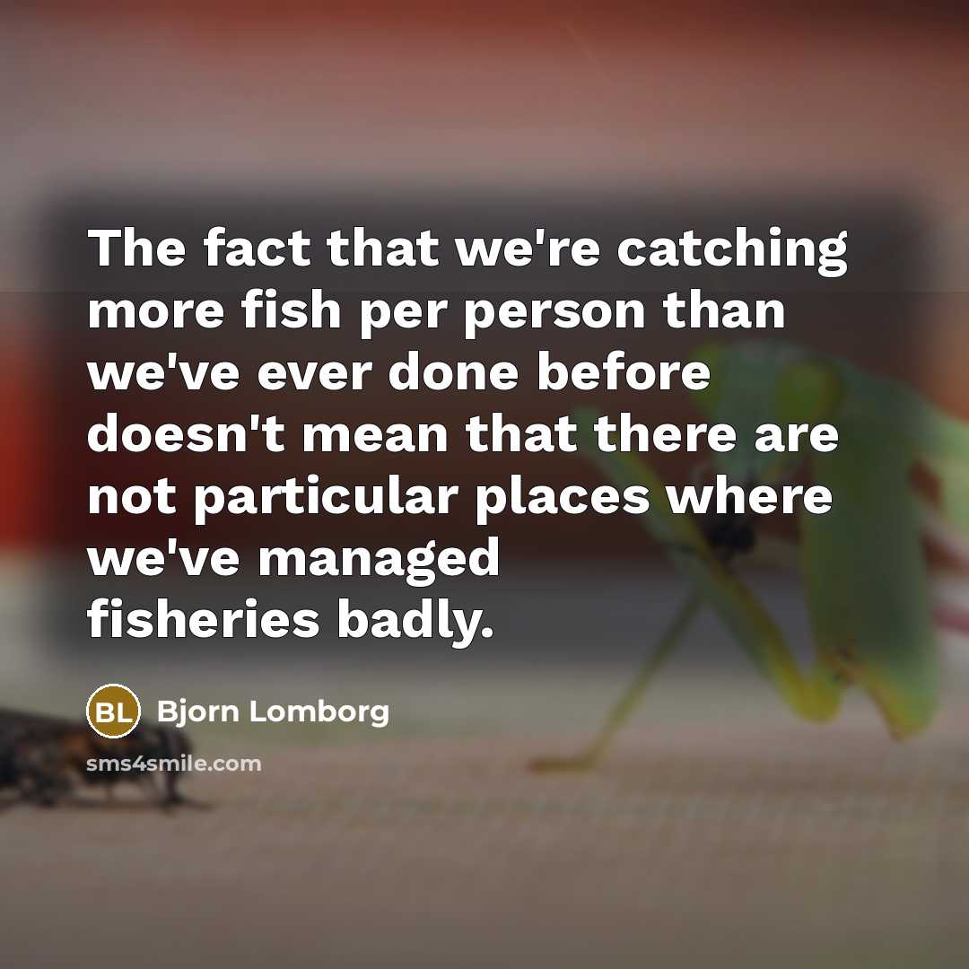 “The fact that we're catching more fish per person than…” quote by Bjorn Lomborg