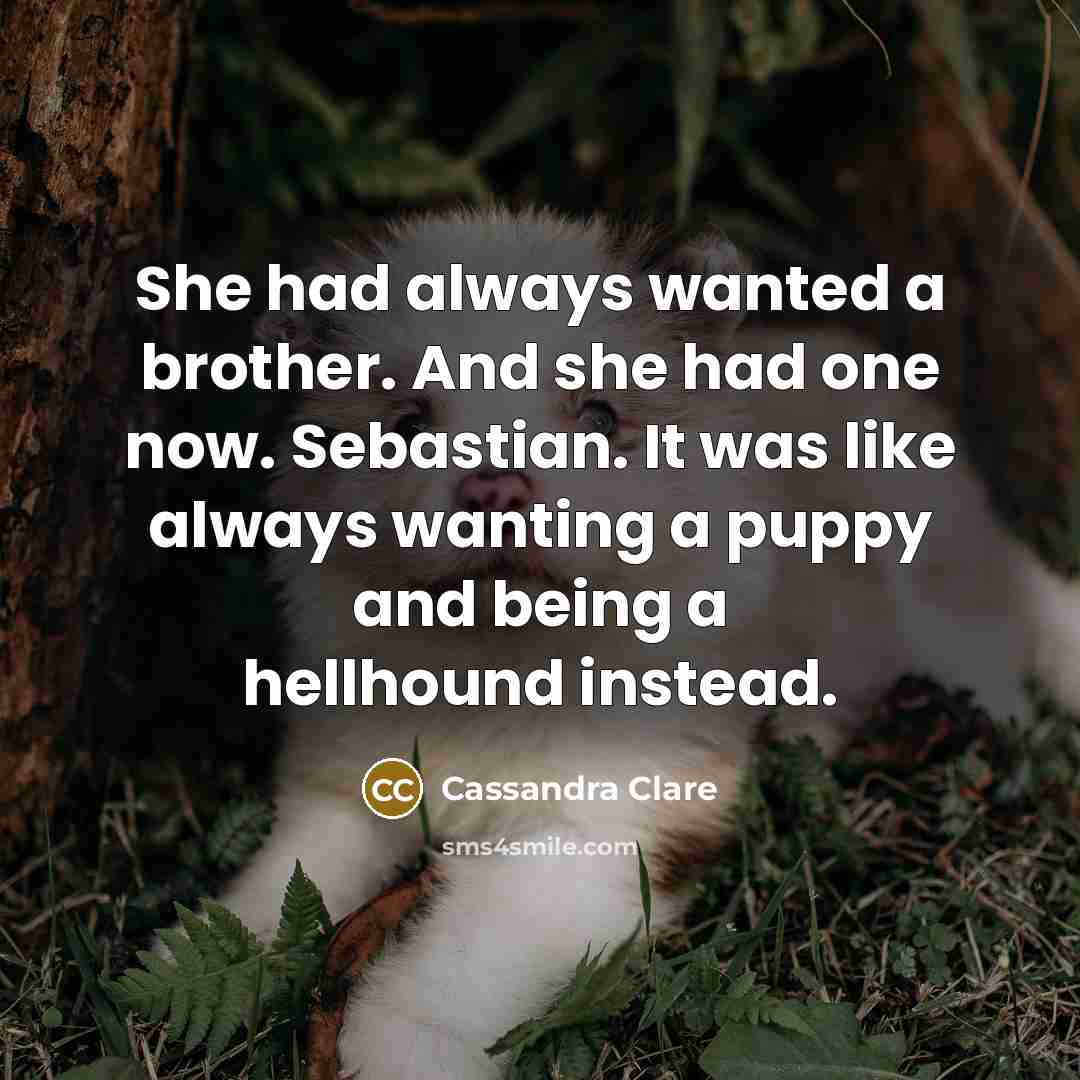 “She had always wanted a brother. And she had one…” quote by Cassandra Clare