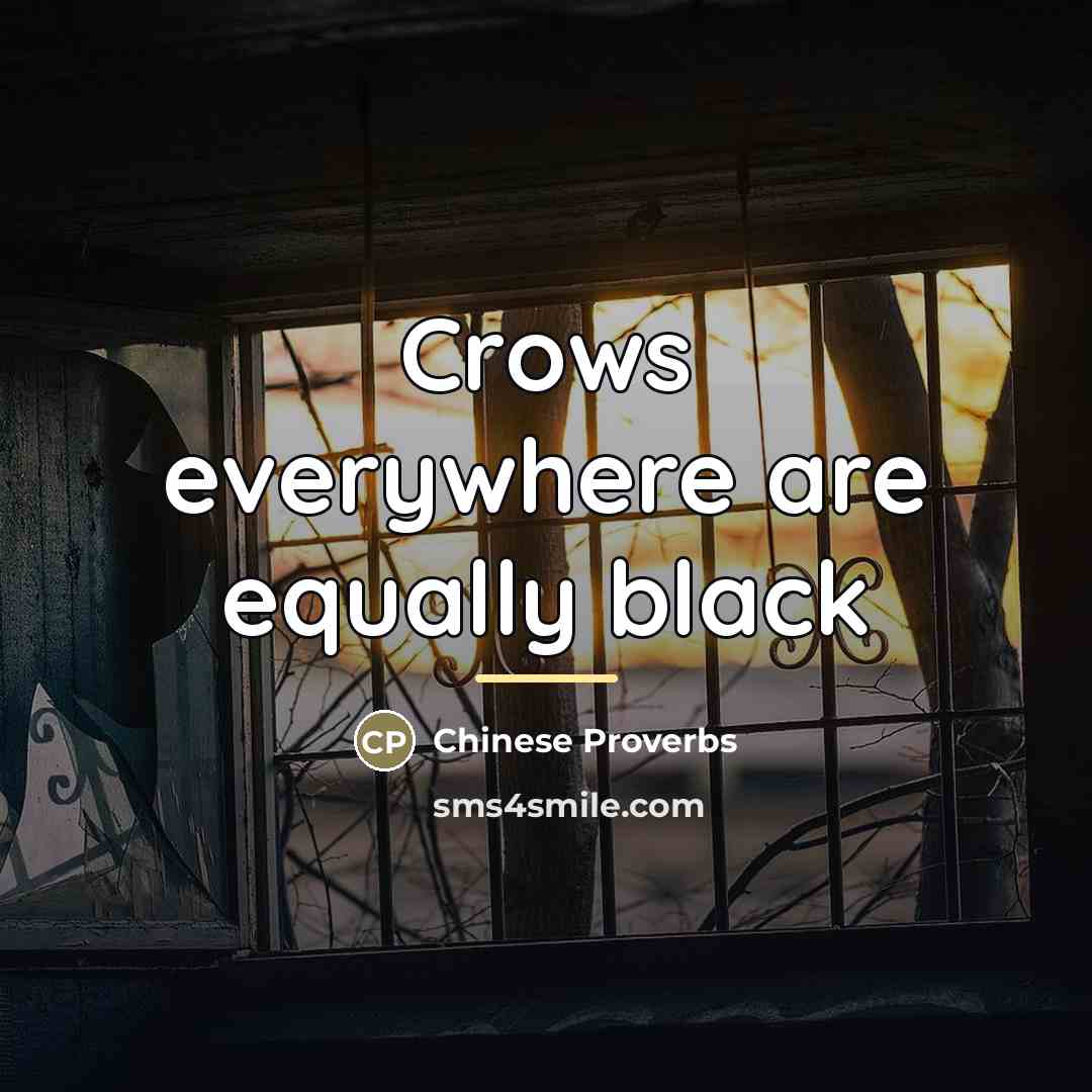 “Crows everywhere are equally black…” quote by Chinese Proverbs