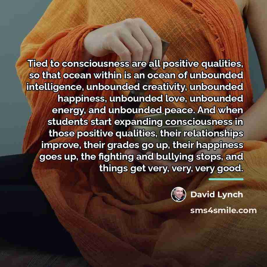 “Tied to consciousness are all positive qualities, so that ocean…” quote by David Lynch