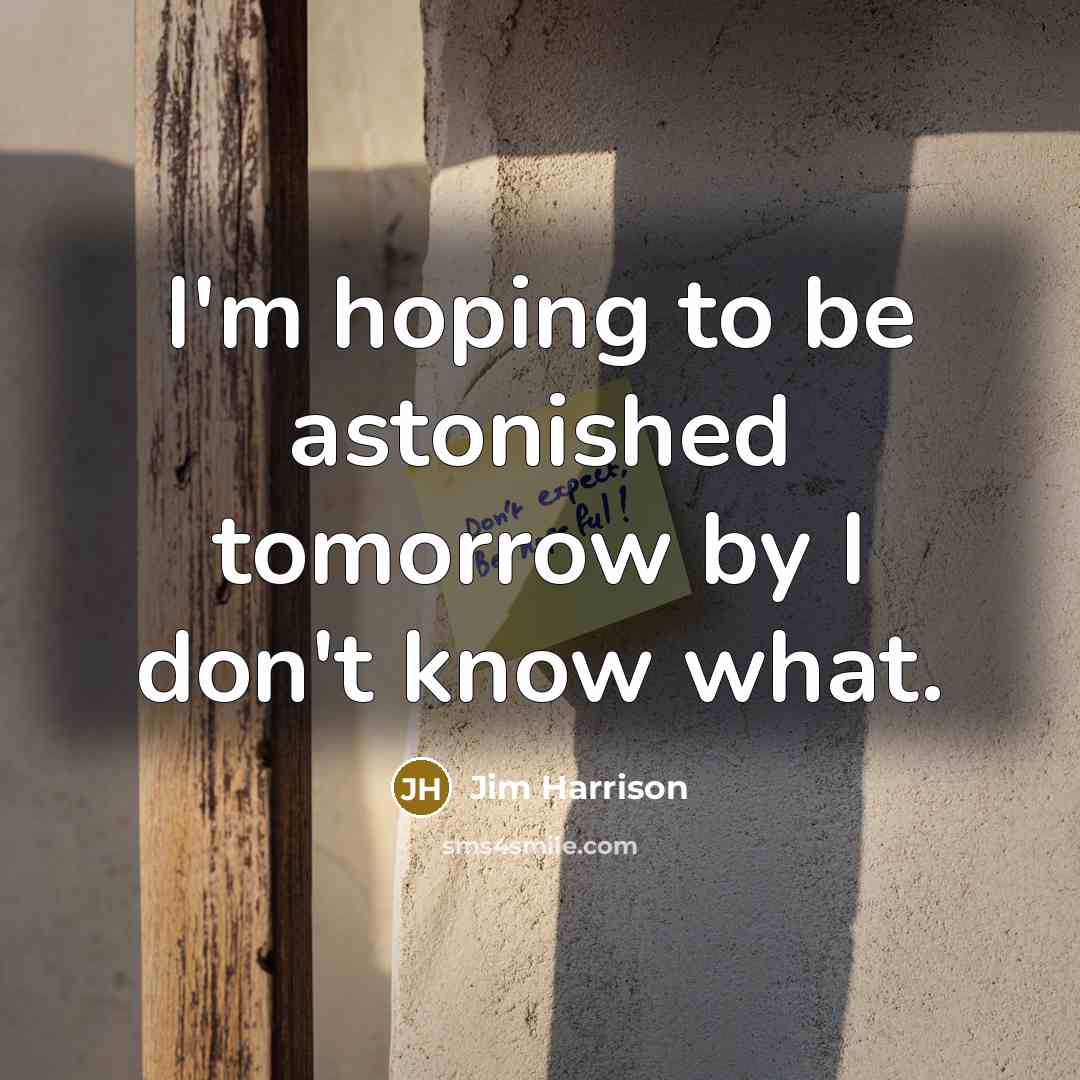 “I'm hoping to be astonished tomorrow by I don't know what.” quote by Jim Harrison