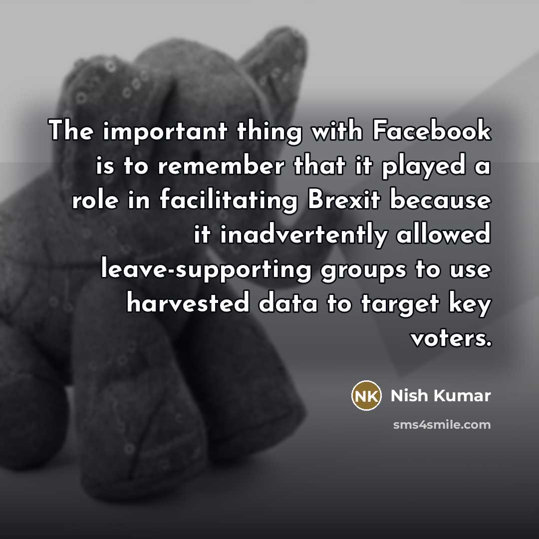 “The important thing with Facebook is to remember that it…” quote by Nish Kumar
