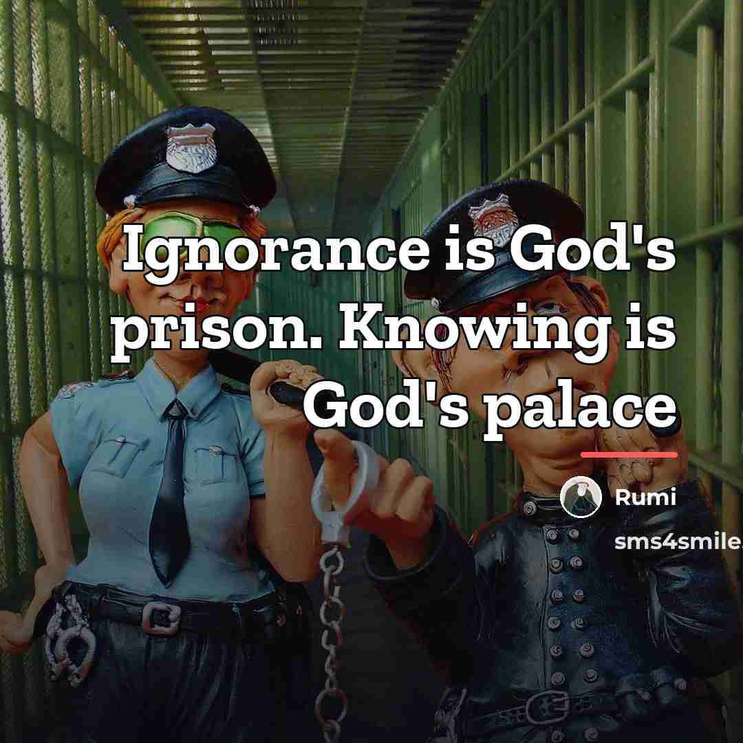 “Ignorance is God's prison. Knowing is God's palace…” quote by Rumi