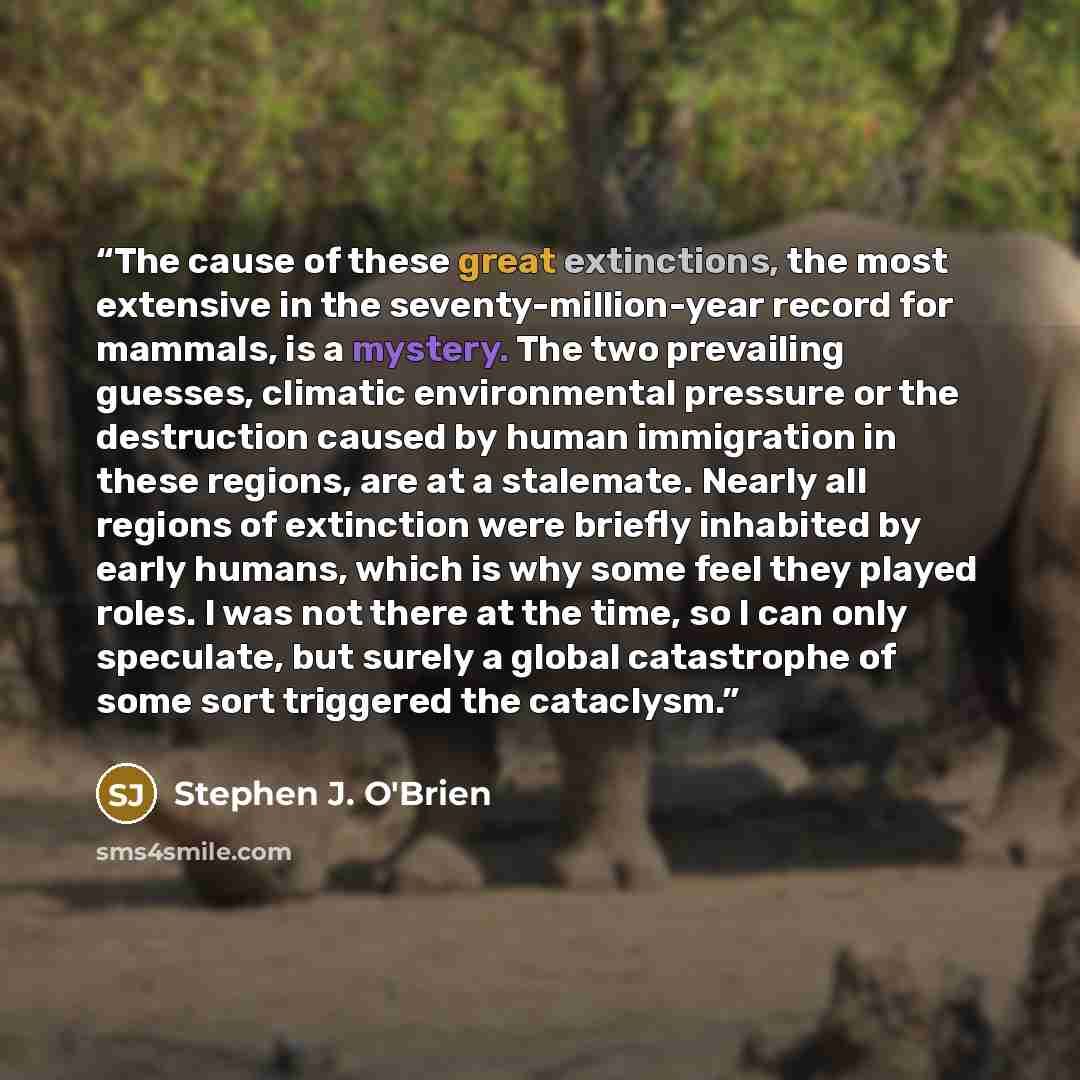 “The cause of these great extinctions, the most extensive in the seventy-million-year record for mammals, is a mystery. The two prevailing guesses, climatic environmental pressure or the destruction caused by human immigration in these regions, are at a stalemate. Nearly all regions of extinction…” quote by Stephen J. O'Brien