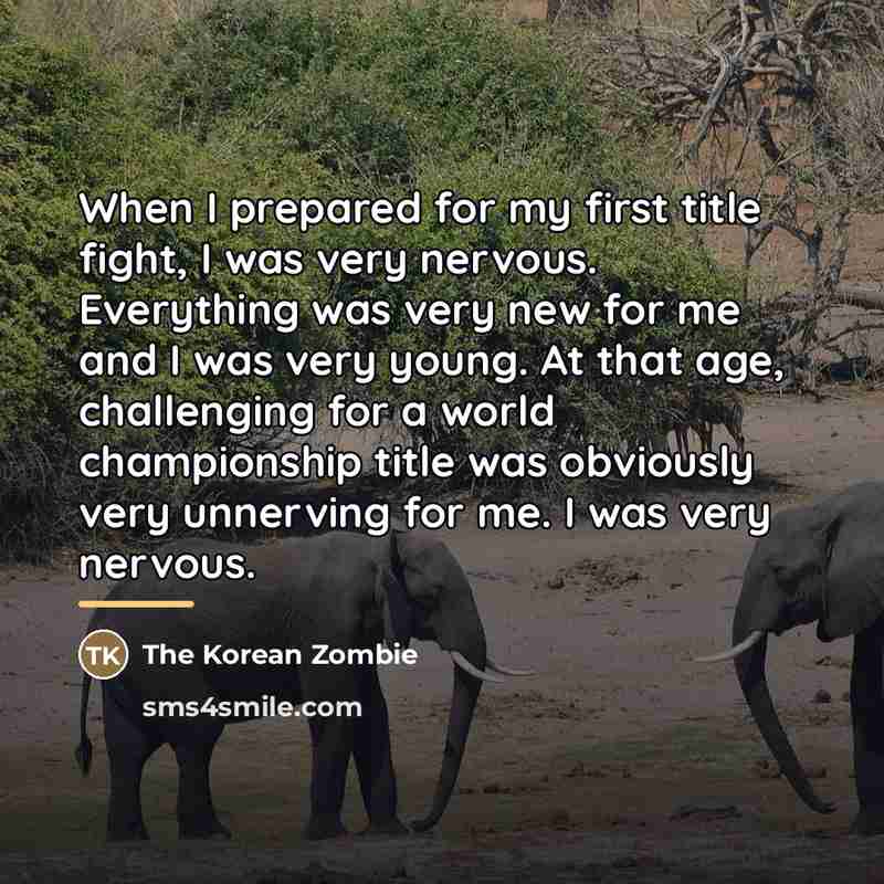 “When I prepared for my first title fight, I was…” quote by The Korean Zombie
