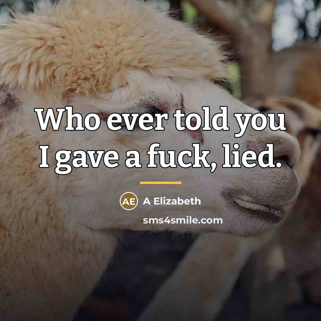 “Who ever told you I gave a fuck, lied.…” quote by Anonymous