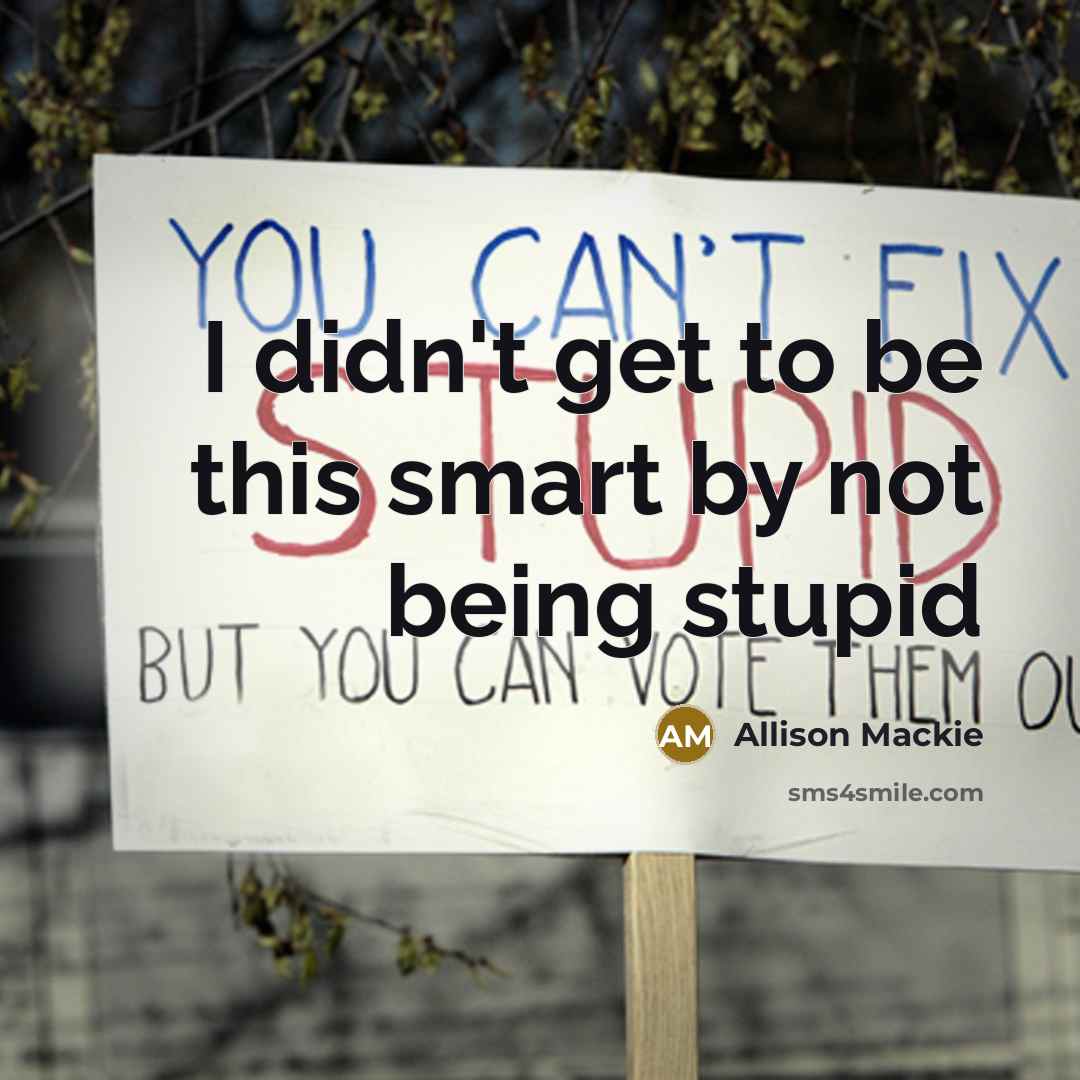“I didn't get to be this smart by not being…” quote by Allison Mackie