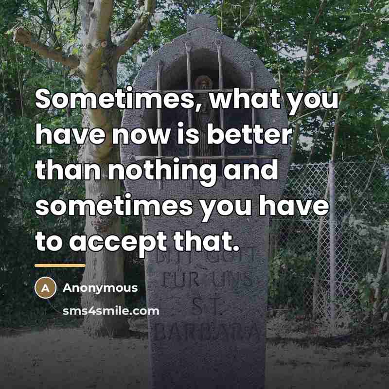 “Sometimes, what you have now is better than nothing and…” quote by Anonymous