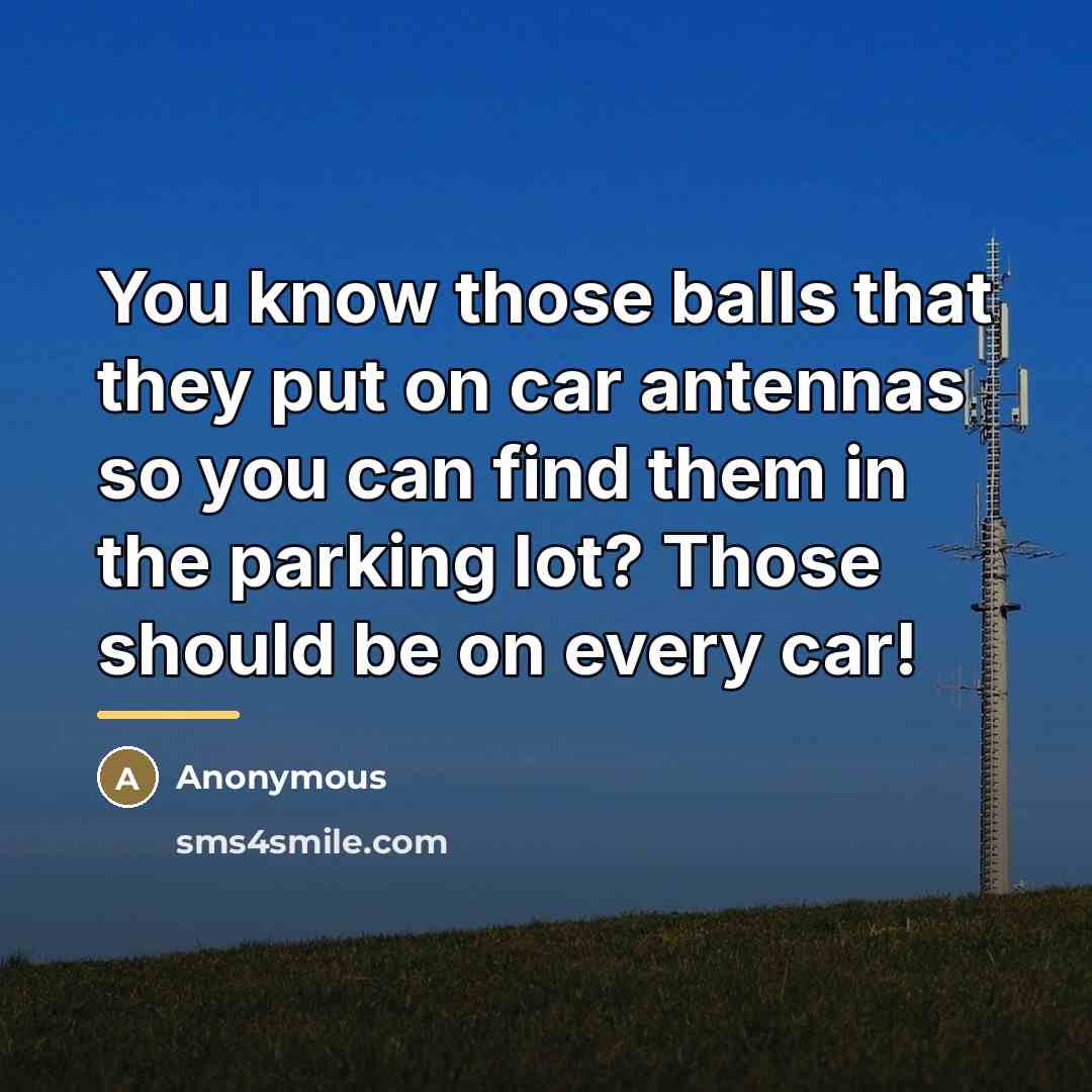 “You know those balls that they put on car antennas…” quote by Anonymous