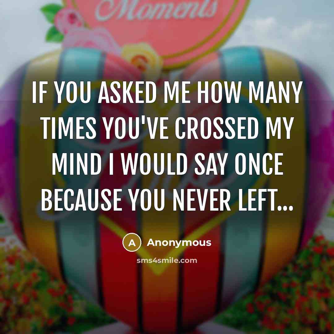 “If you asked me how many times you've crossed my…” quote by Anonymous