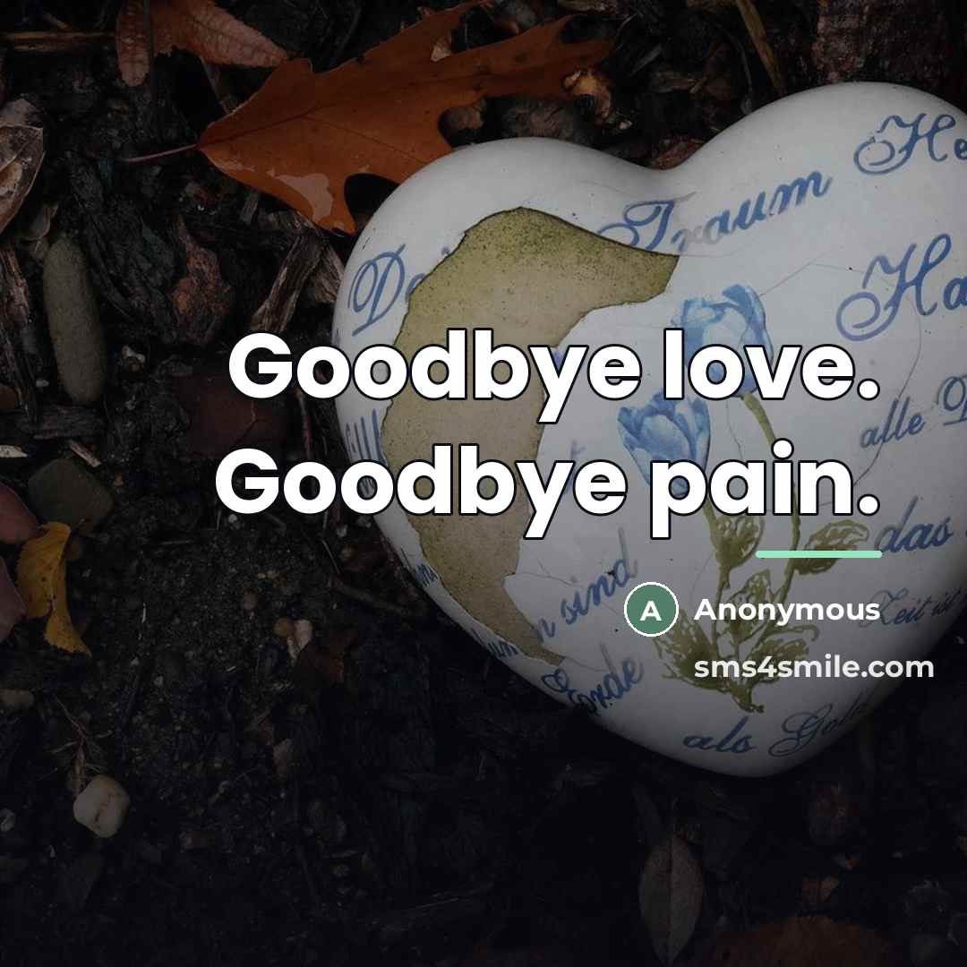 “Goodbye love. Goodbye pain.…” quote by Anonymous