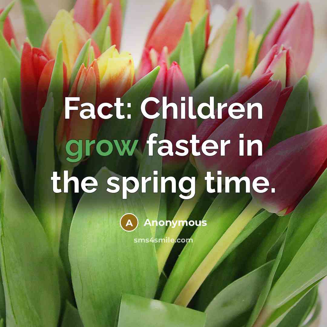 “Fact: Children grow faster in the spring time.…” quote by Anonymous