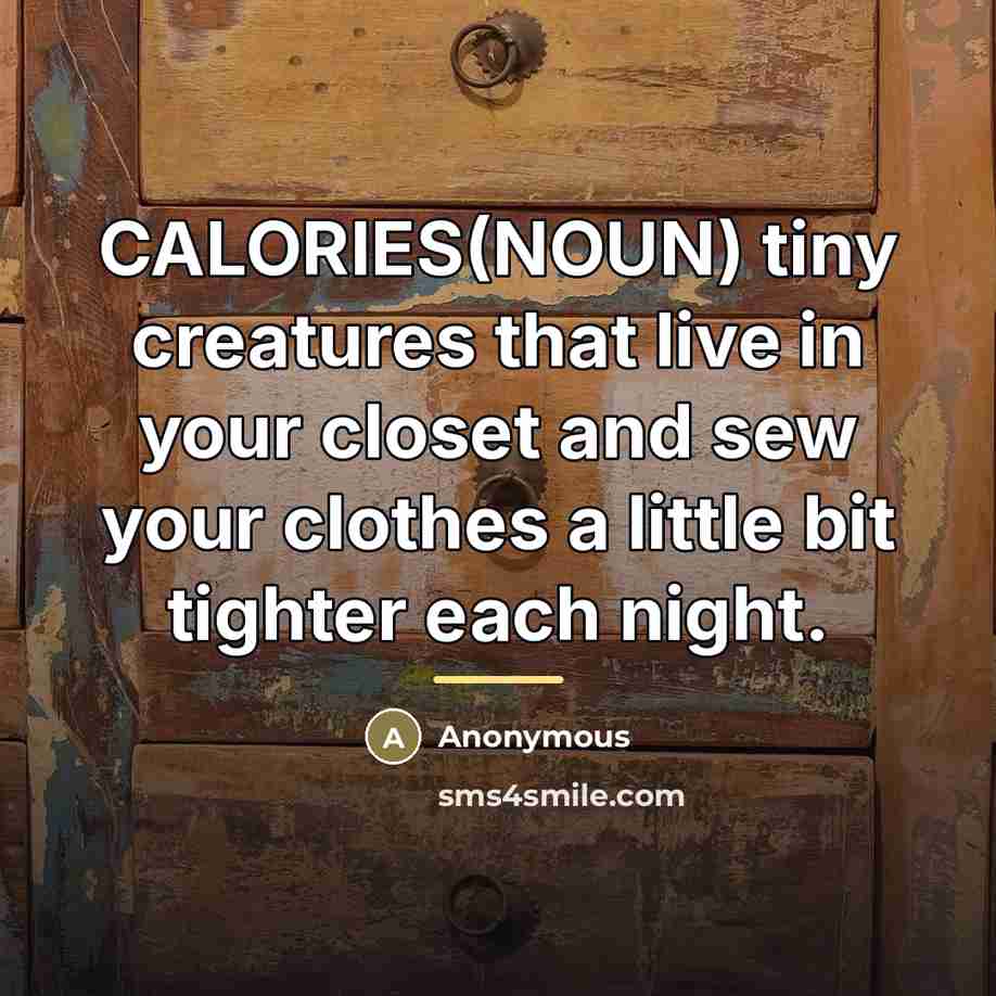 “CALORIES(NOUN) tiny creatures that live in your closet and sew…” quote by Anonymous
