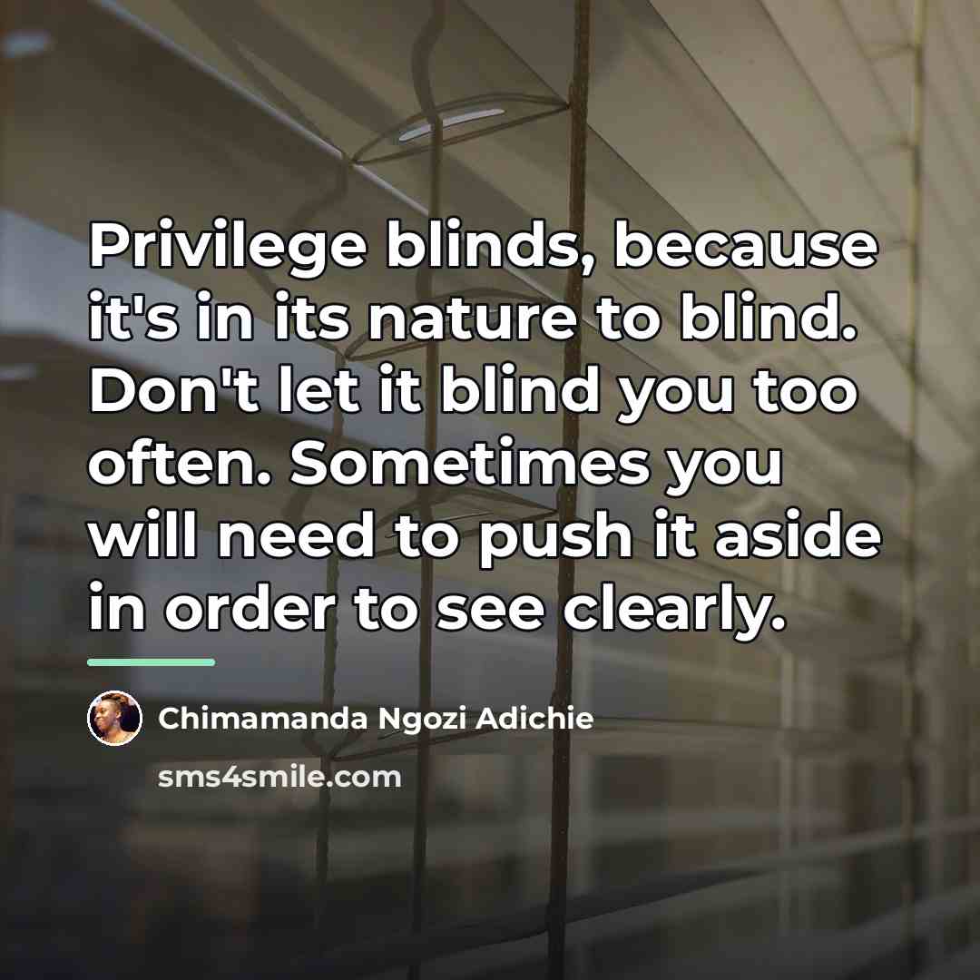 “Privilege blinds, because it's in its nature to blind. Don't…” quote by Chimamanda Ngozi Adichie
