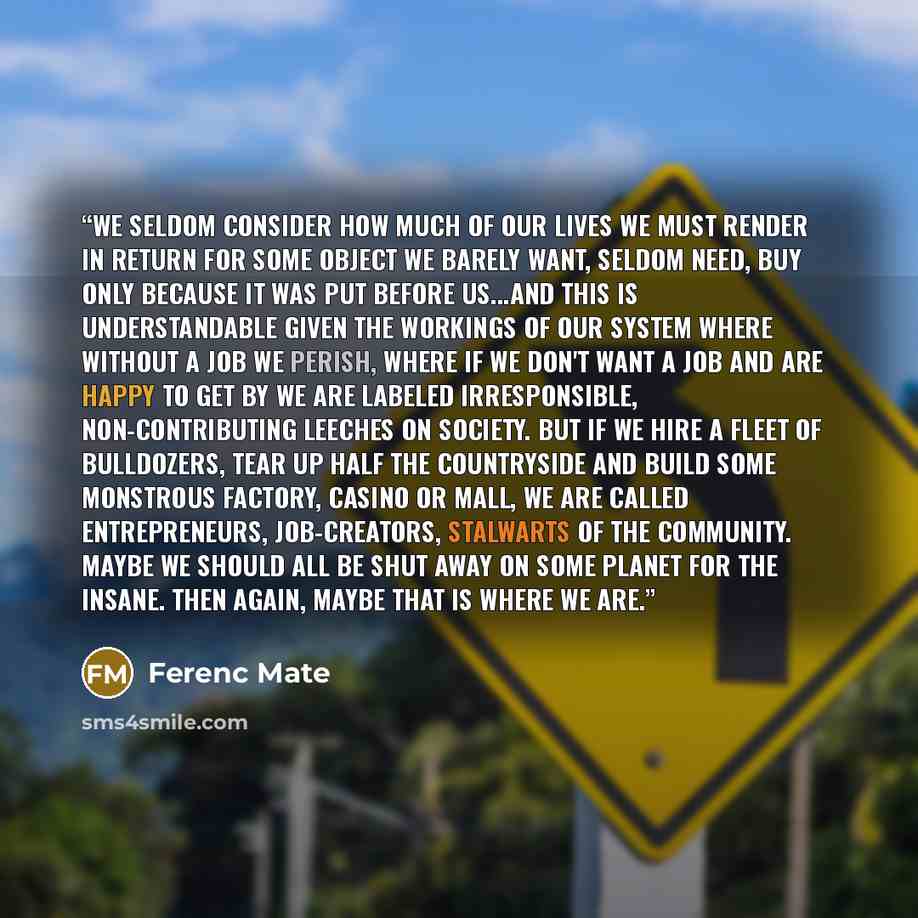 “We seldom consider how much of our lives we must render in return for some object we barely want, seldom need, buy only because it was put before us...And this is understandable given the workings of our system where without a job we perish, where if we don't want a job and are happy to get by we…” quote by Ferenc Mate