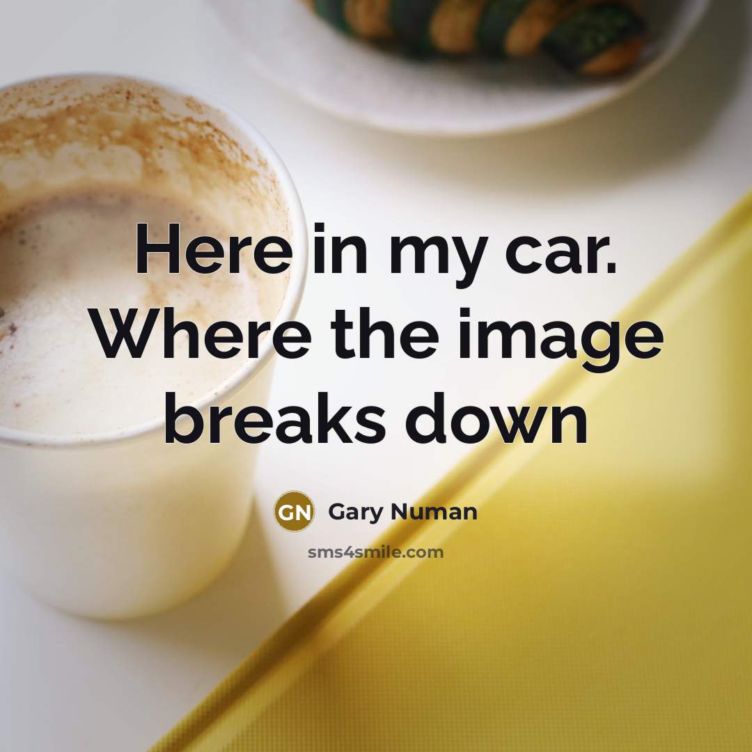 “Here in my car. Where the image breaks down…” quote by Gary Numan