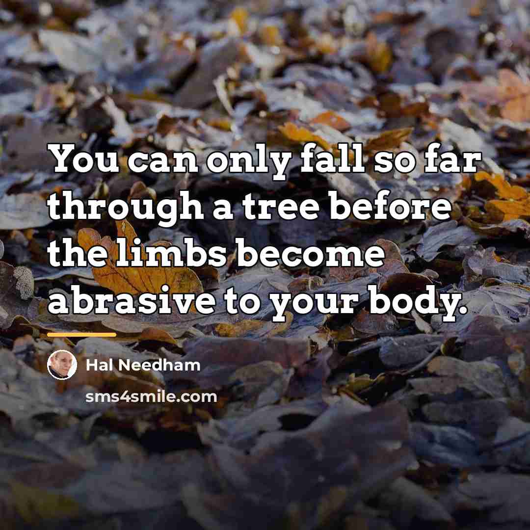 “You can only fall so far through a tree before…” quote by Hal Needham