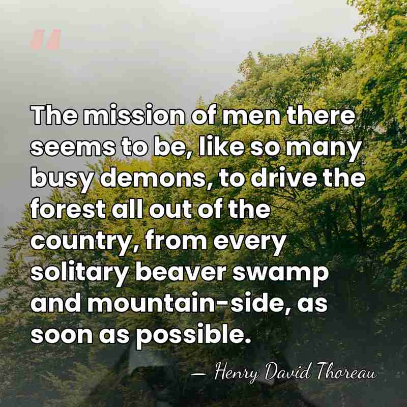 The mission of men there seems to be, like so many busy&hellip; - Henry David Thoreau