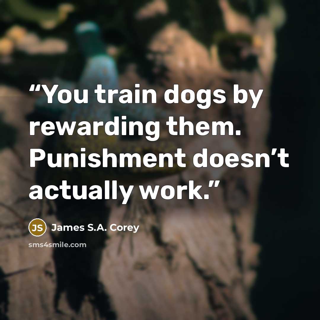 “You train dogs by rewarding them. Punishment doesn’t actually work.” quote by James S.A. Corey