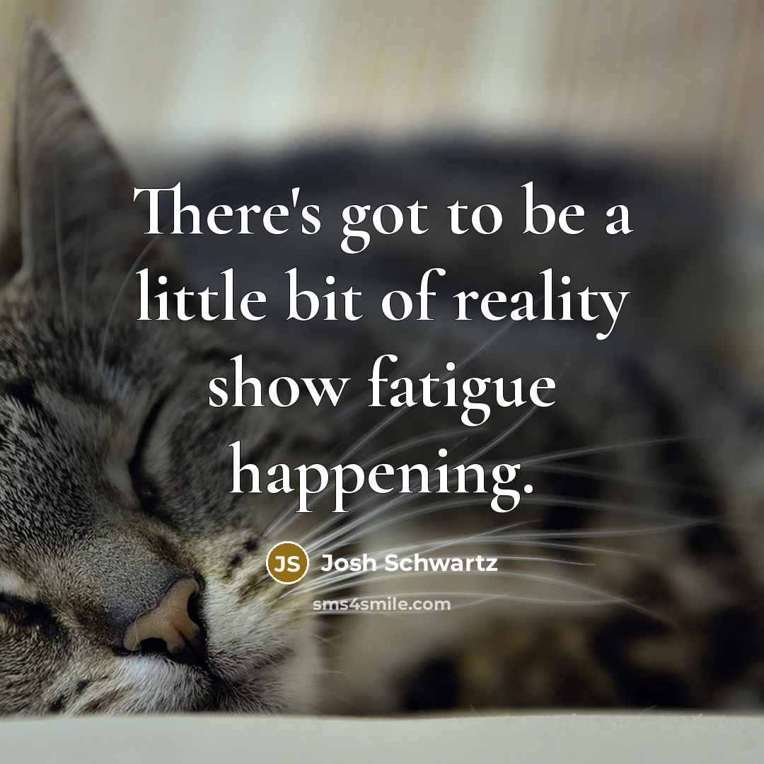“There's got to be a little bit of reality show…” quote by Josh Schwartz