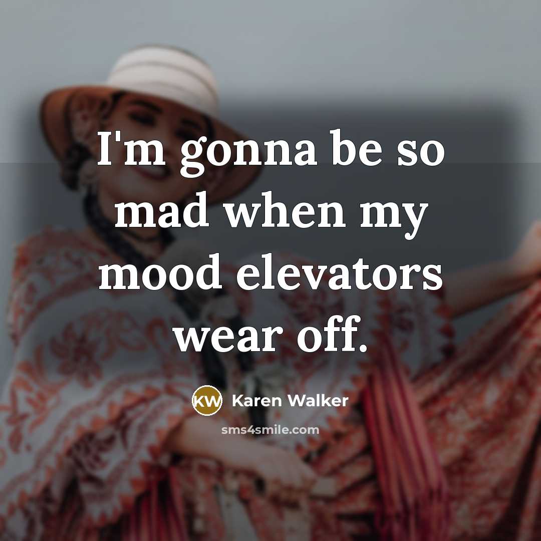 “I'm gonna be so mad when my mood elevators wear…” quote by Karen Walker