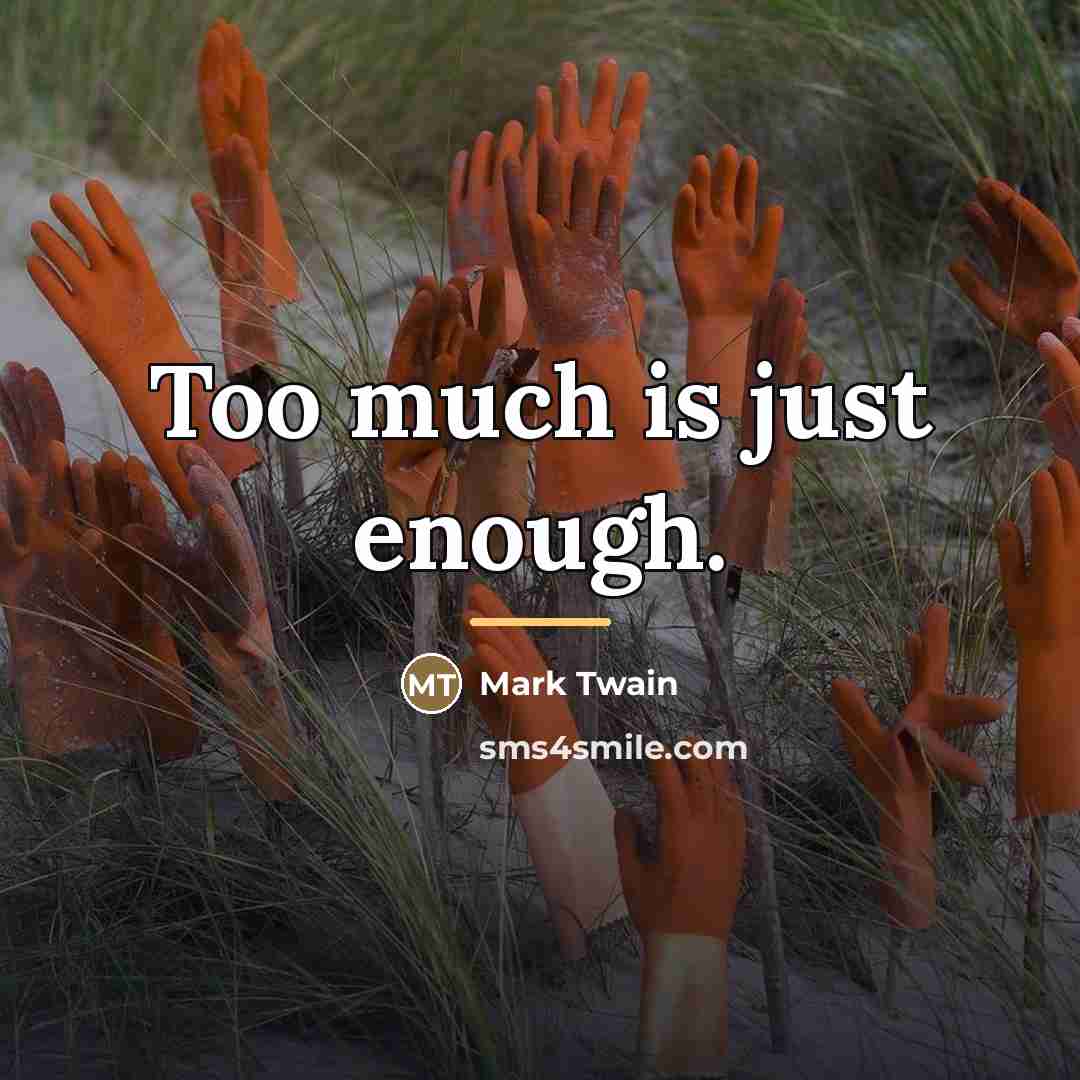“Too much is just enough.…” quote by Mark Twain