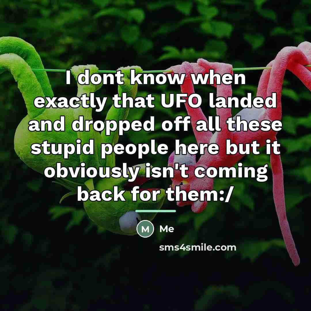“I dont know when exactly that UFO landed and dropped…” quote by Me