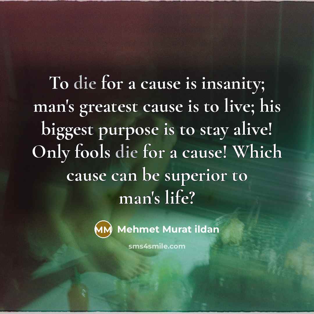 “To die for a cause is insanity; man's greatest cause…” quote by Mehmet Murat Ildan