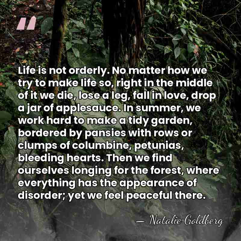Life is not orderly. No matter how we try to make life&hellip; - Natalie Goldberg