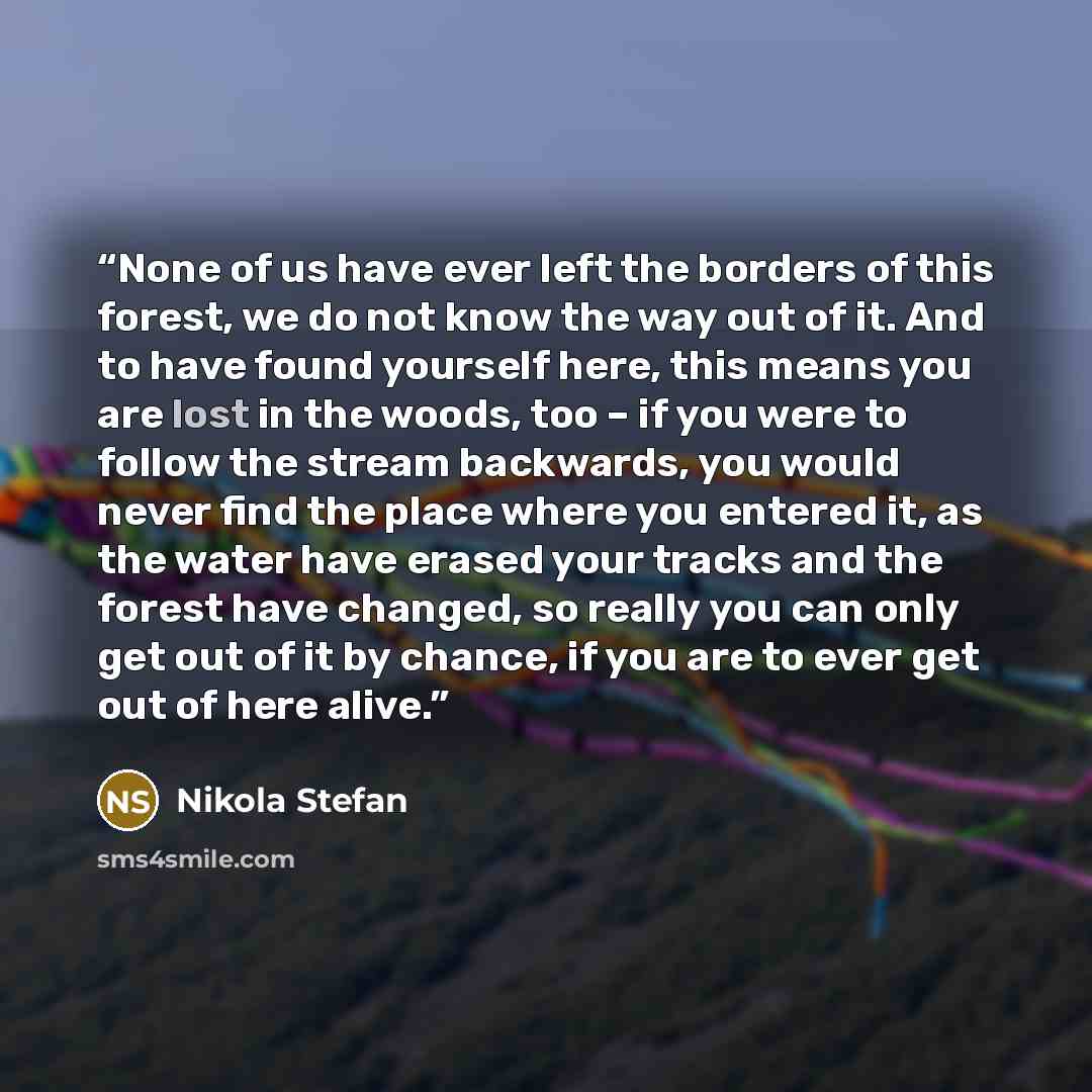 “None of us have ever left the borders of this forest, we do not know the way out of it. And to have found yourself here, this means you are lost in the woods, too – if you were to follow the stream backwards, you would never find the place where you entered it, as the water have erased your tracks…” quote by Nikola Stefan