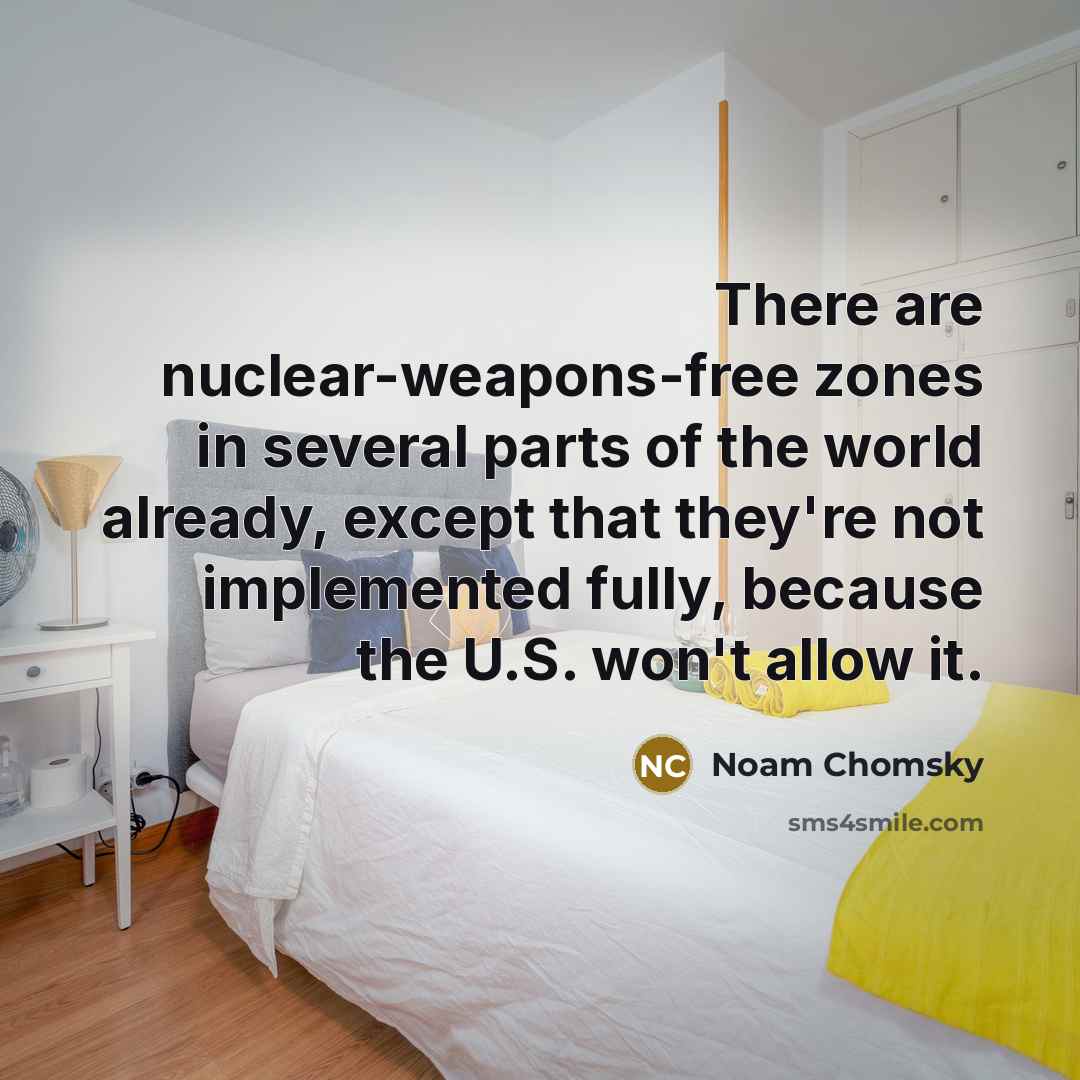“There are nuclear-weapons-free zones in several parts of the world…” quote by Noam Chomsky