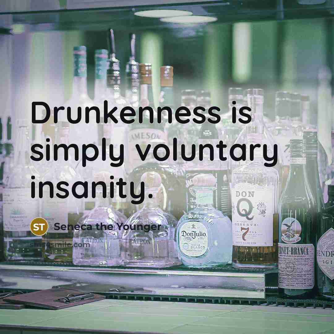 “Drunkenness is simply voluntary insanity.…” quote by Seneca the Younger