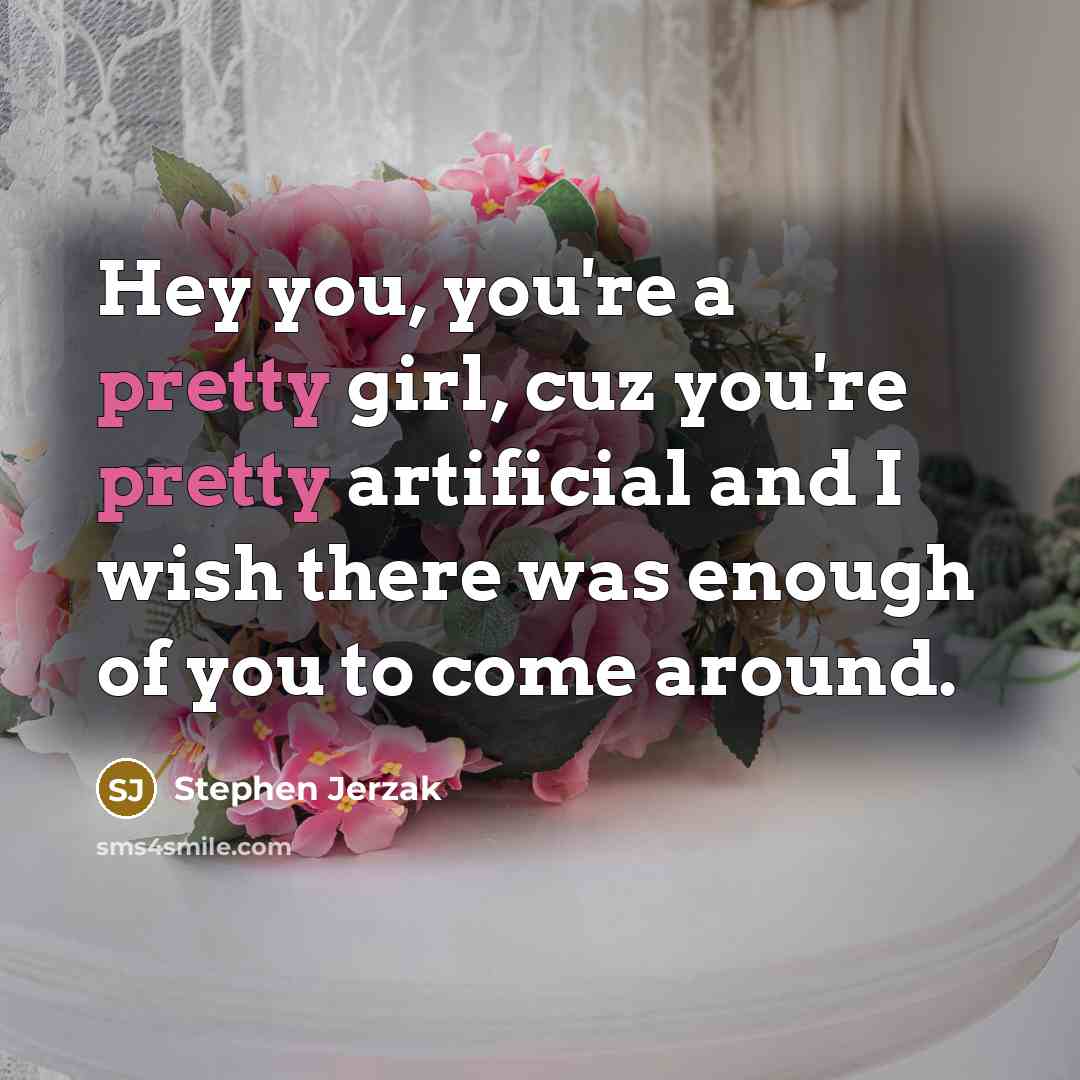 “Hey you, you're a pretty girl, cuz you're pretty artificial…” quote by Stephen Jerzak