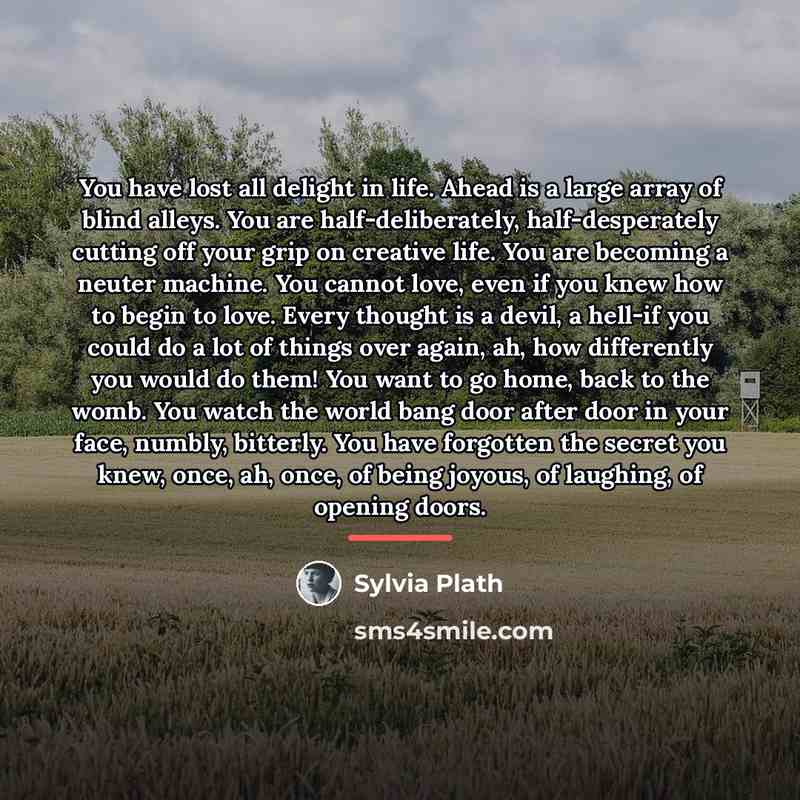 “You have lost all delight in life. Ahead is a…” quote by Sylvia Plath
