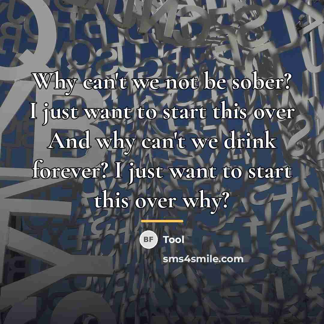 “Why can't we not be sober? I just want to…” quote by Tool