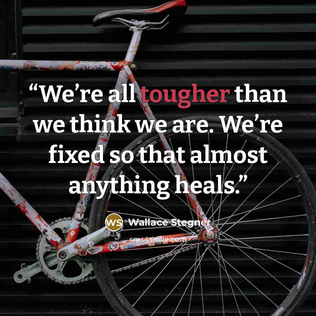 “We’re all tougher than we think we are. We’re fixed so that almost anything heals.” quote by Wallace Stegner