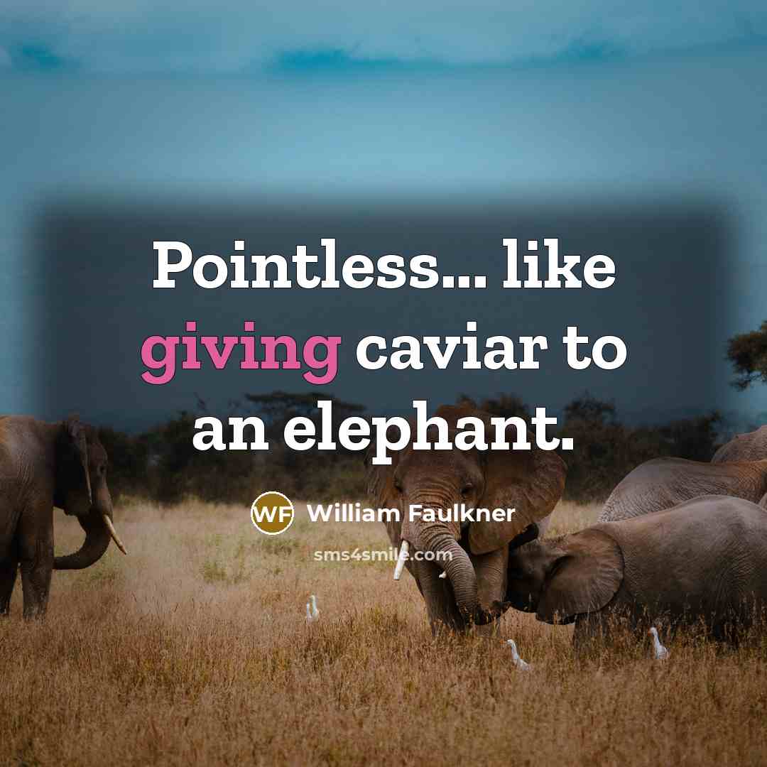 “Pointless... like giving caviar to an elephant.…” quote by William Faulkner