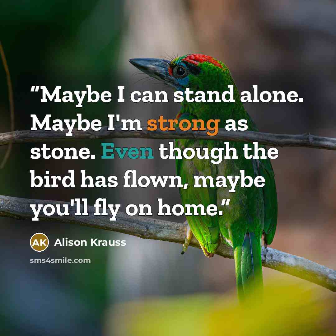 “Maybe I can stand alone. Maybe I'm strong as stone. Even though the bird has flown, maybe you'll fly on home.” quote by Alison Krauss