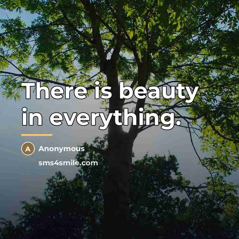 “There is beauty in everything.…” quote by Anonymous