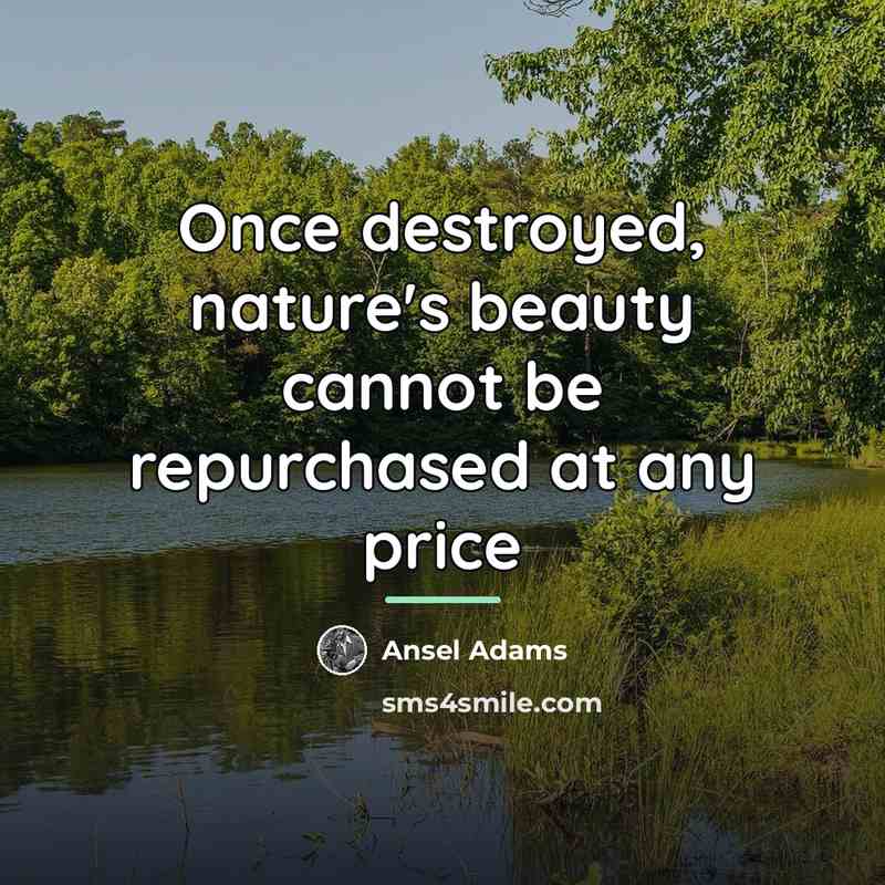 “Once destroyed, nature's beauty cannot be repurchased at any price…” quote by Ansel Adams