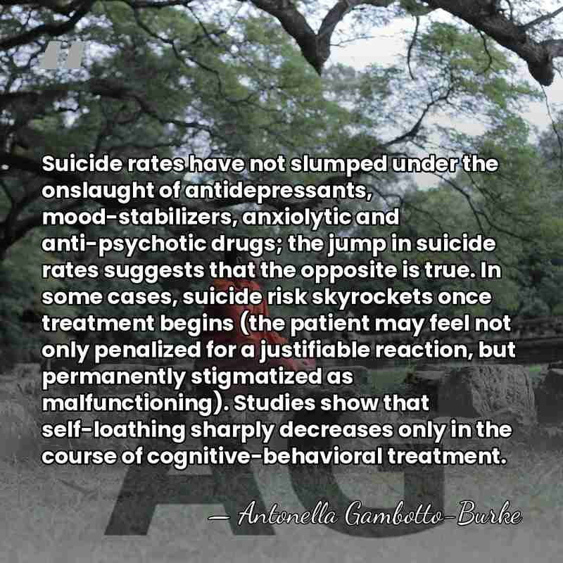 Suicide rates have not slumped under the onslaught of antidepressants, mood-stabilizers, anxiolytic&hellip; - Antonella Gambotto-Burke