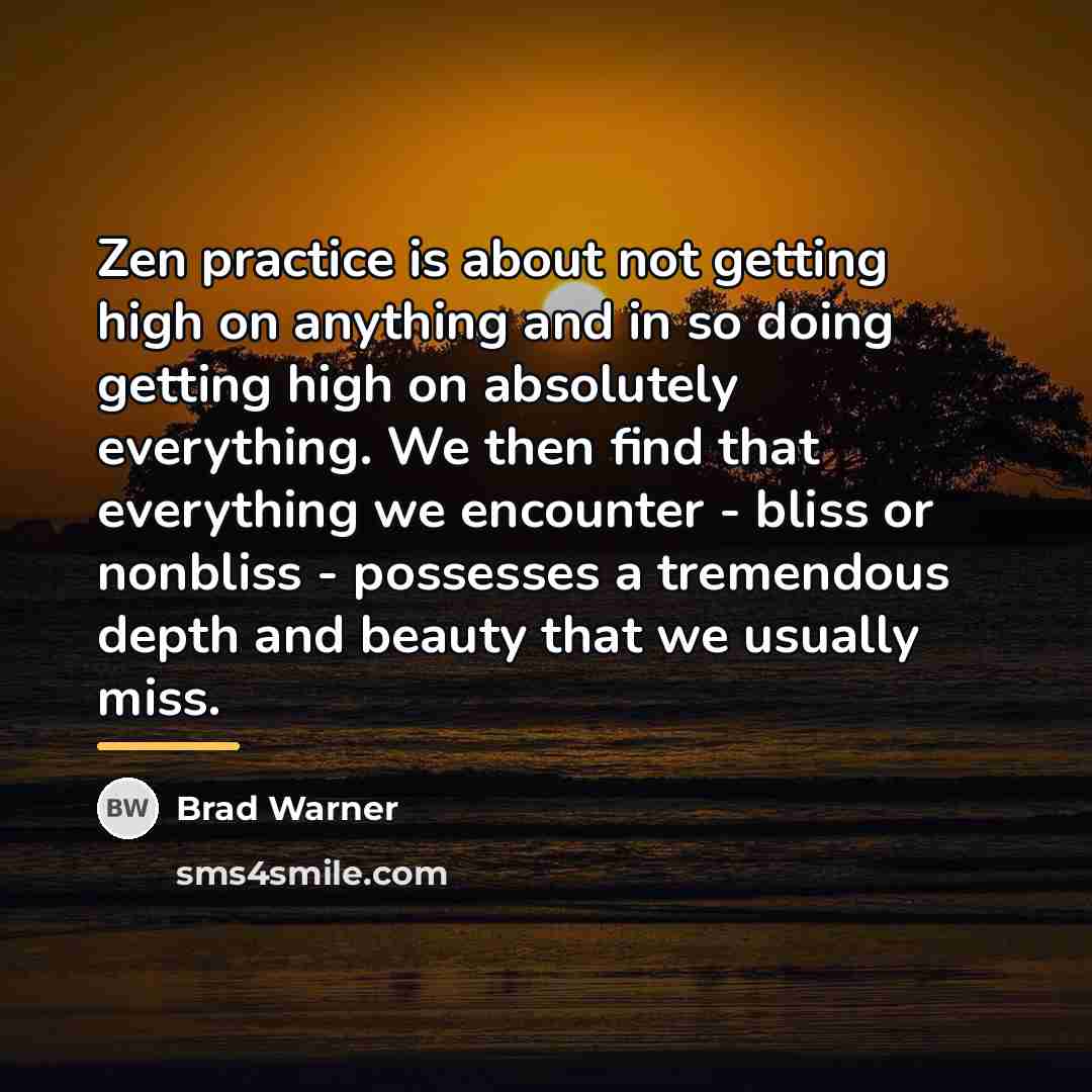 “Zen practice is about not getting high on anything and…” quote by Brad Warner